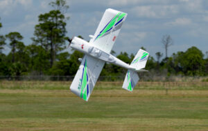 RV-8 10E SUPER PNP - Night - Green